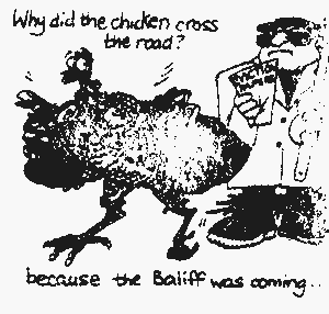 Why did the chicken cross the road?
